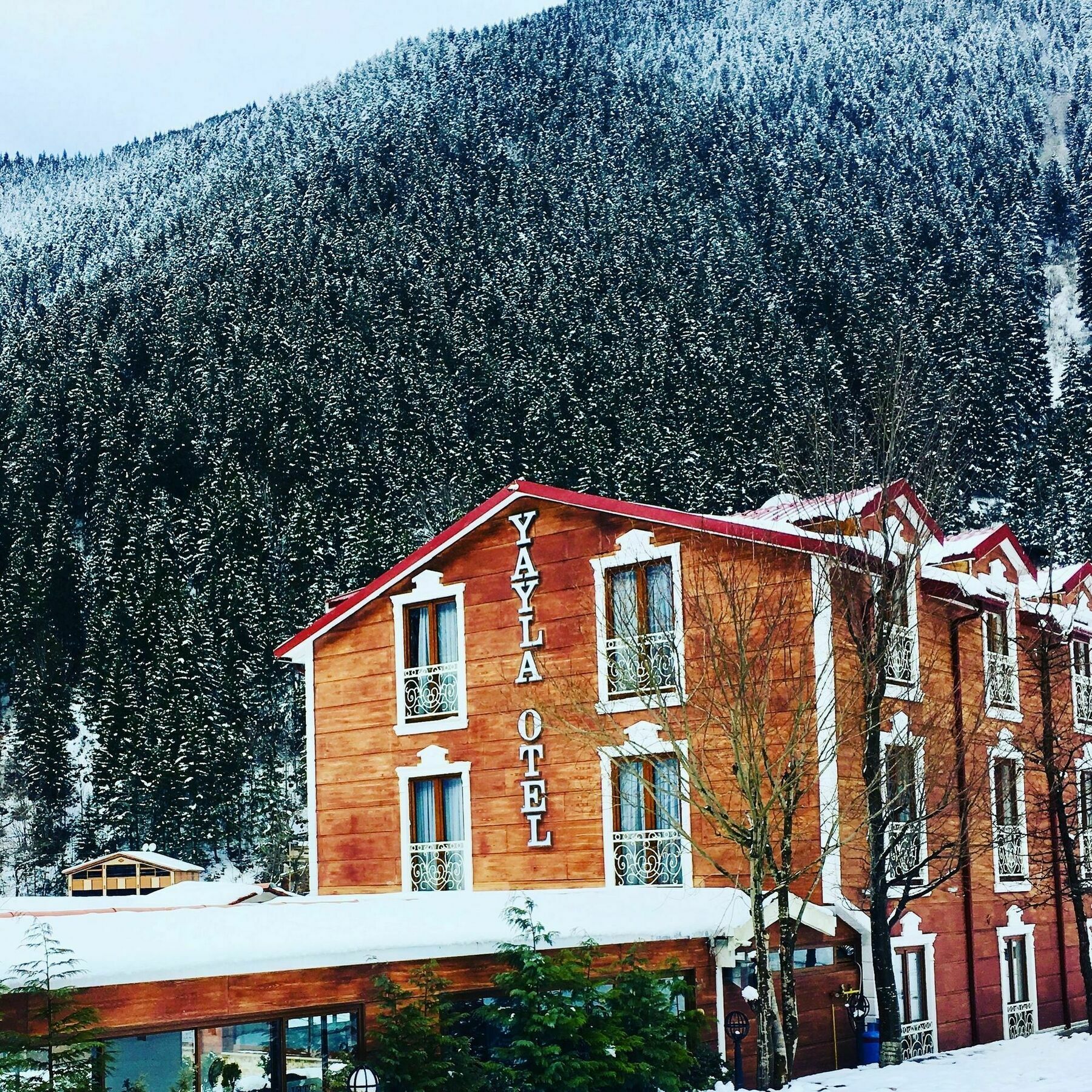 Uzungol Yayla Hotel Exterior photo